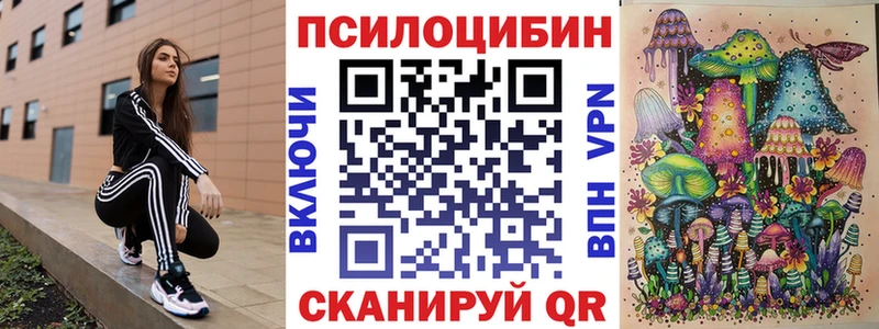 Купить где  Свирск  Псилоцибиновые грибы Psilocybine cubensis 